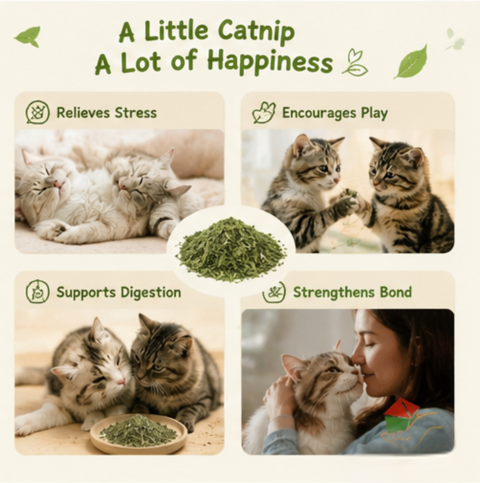 Organic Catnip — The Classic Herb | 6 or 12 bags