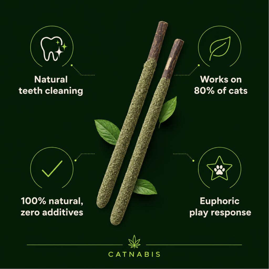 Silvervine Chew Sticks — 6 Pack | Natural Matatabi Cat Herb