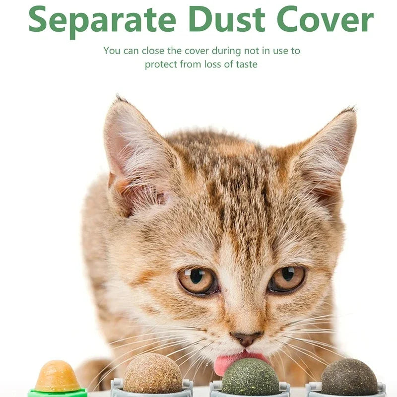 4-in-1 High Ball — Rotating Catnip & Silvervine Wall Toy