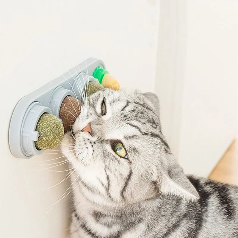 4-in-1 High Ball — Rotating Catnip & Silvervine Wall Toy