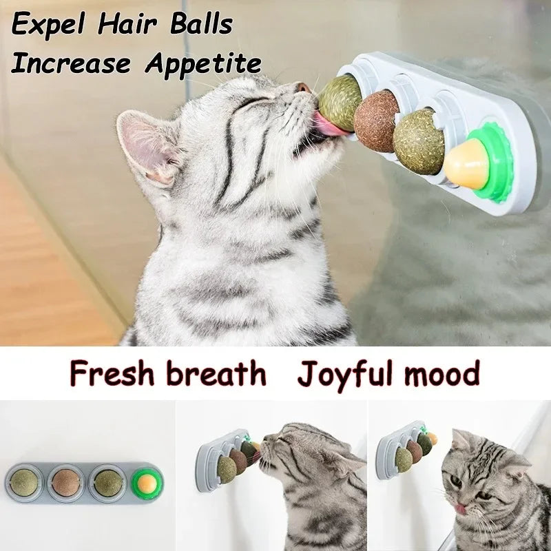 4-in-1 High Ball — Rotating Catnip & Silvervine Wall Toy